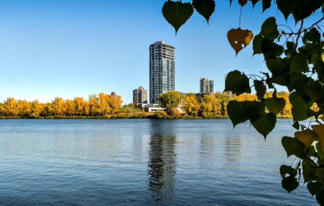 high rise building near trees