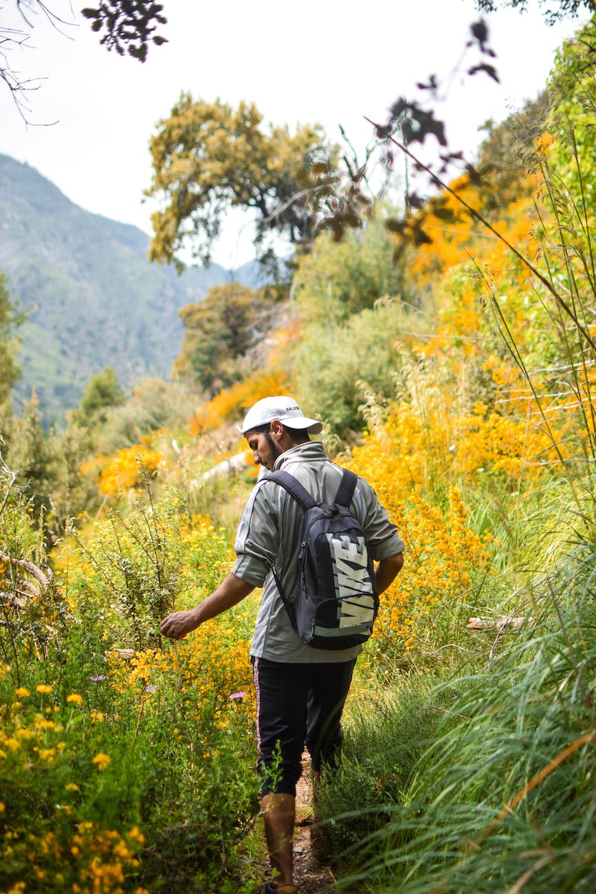 Who played the lead role in the 2007 movie 'Into the Wild'? - Answered