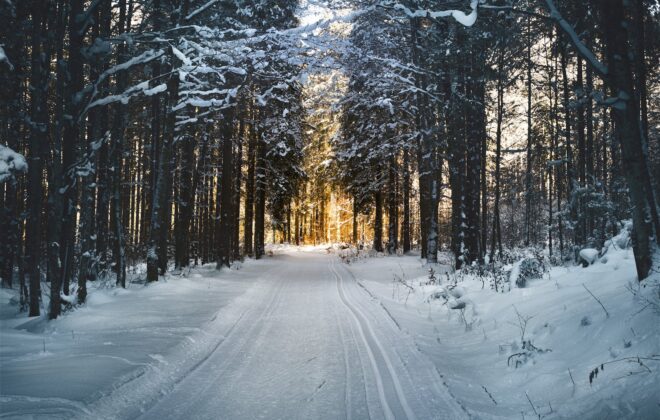 landscape photography of snow pathway between trees during winter